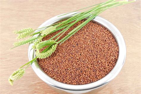 ragi java during pregnancy|ragi powder during pregnancy.